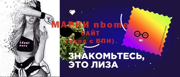 сатива Верея