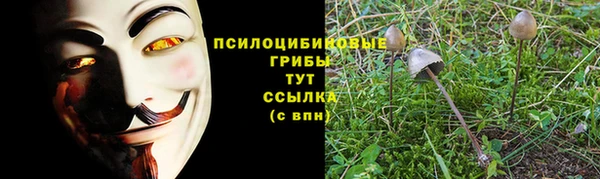 спайс Бородино